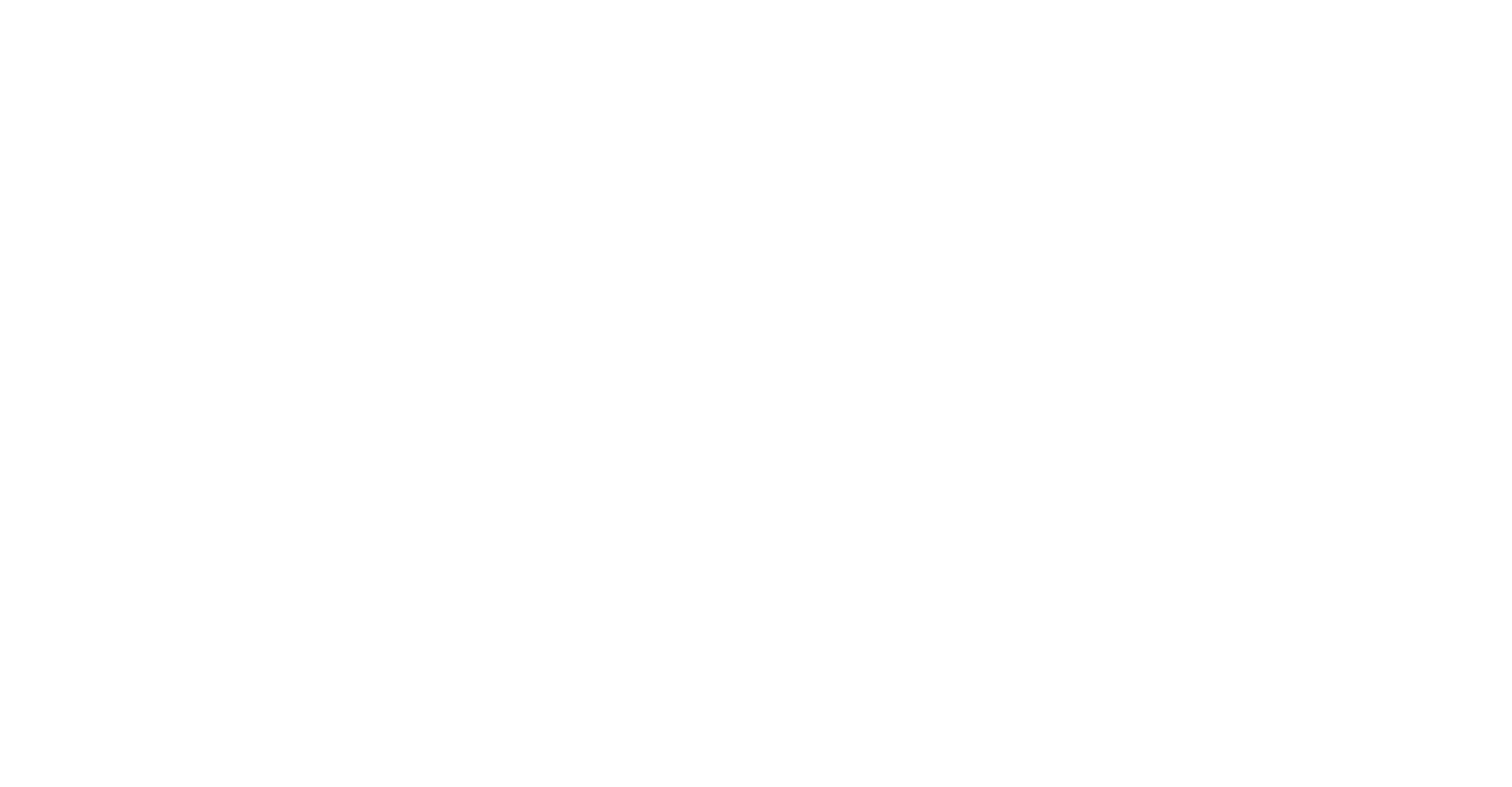 fesam