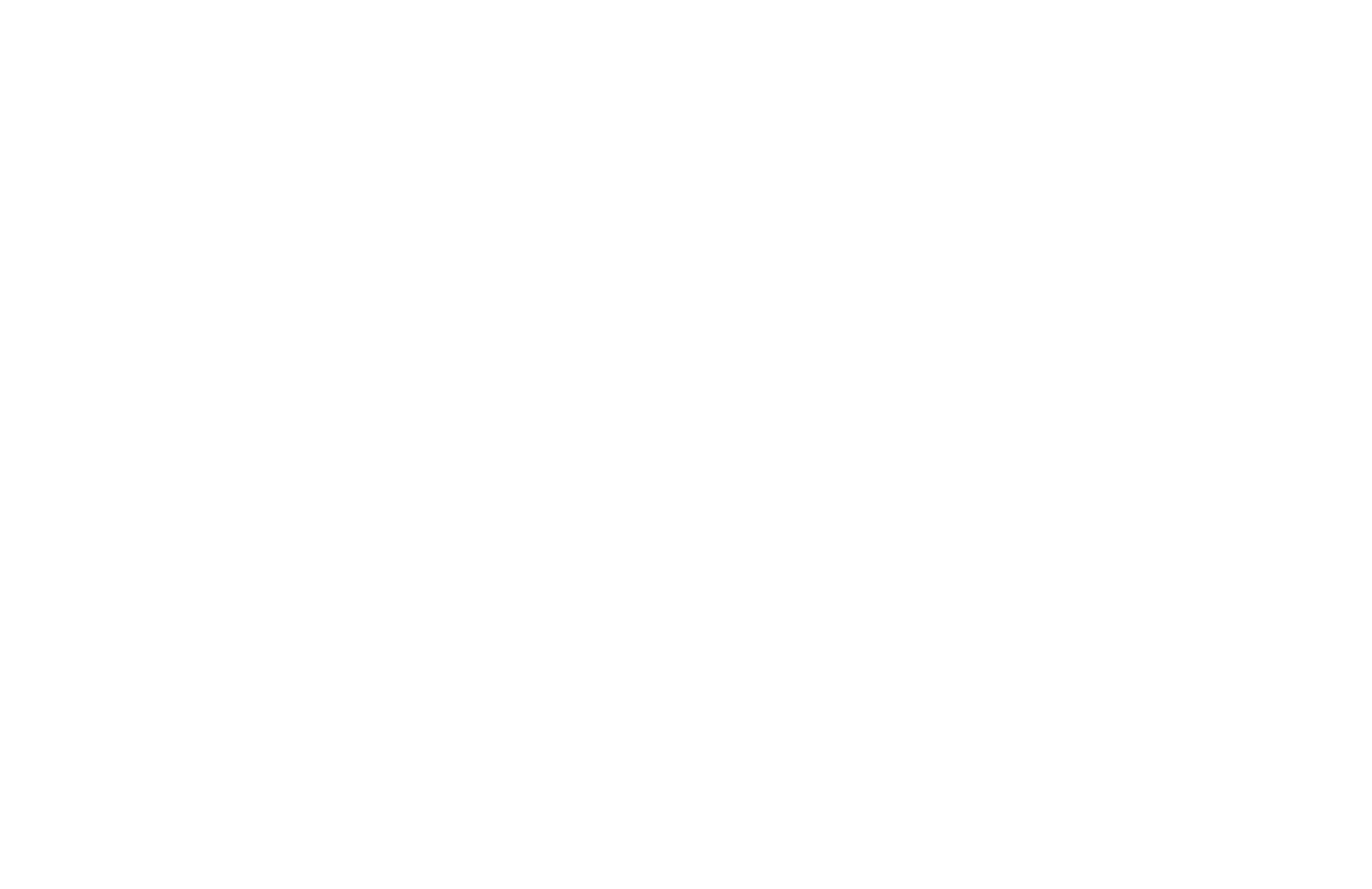 paula-miziara